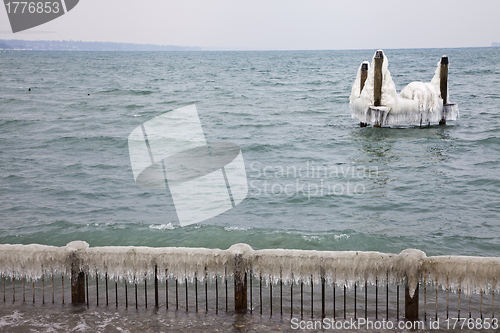 Image of Ice in the water