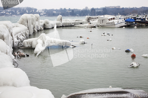 Image of Shipping frozen