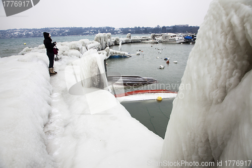 Image of Frozen landscape