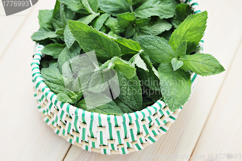 Image of fresh mint