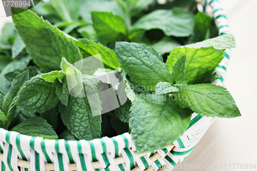 Image of fresh mint