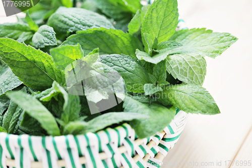 Image of fresh mint