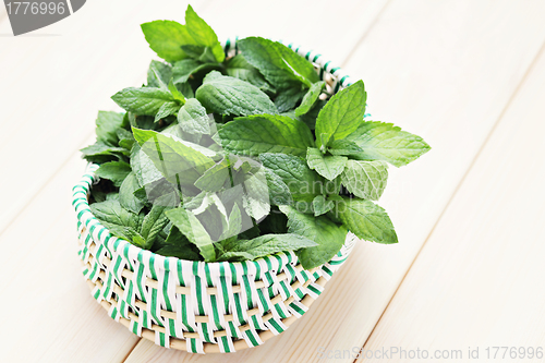 Image of fresh mint