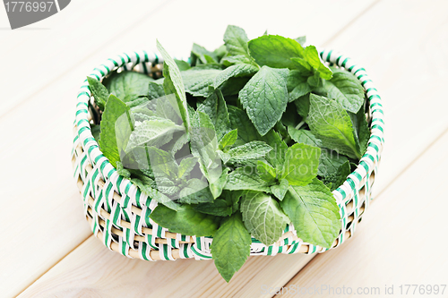 Image of fresh mint