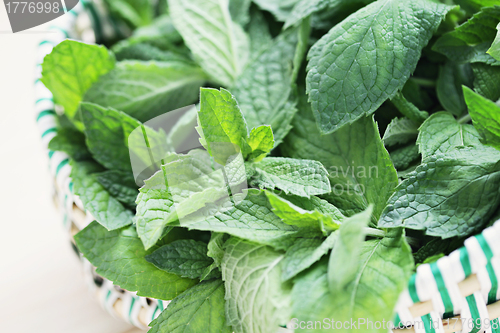 Image of fresh mint