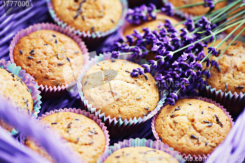 Image of lavender muffins