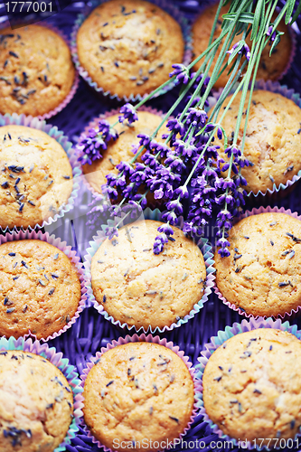 Image of lavender muffins