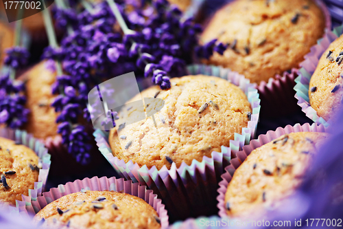 Image of lavender muffins