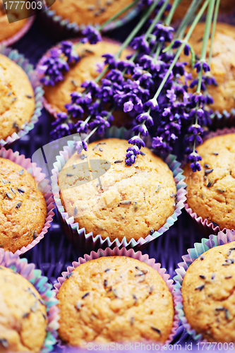Image of lavender muffins