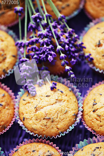 Image of lavender muffins