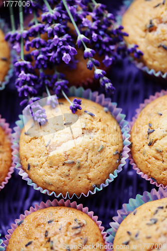 Image of lavender muffins