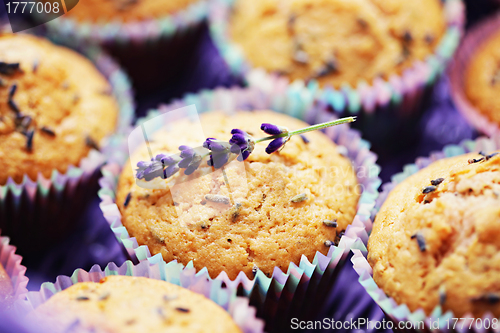 Image of lavender muffins