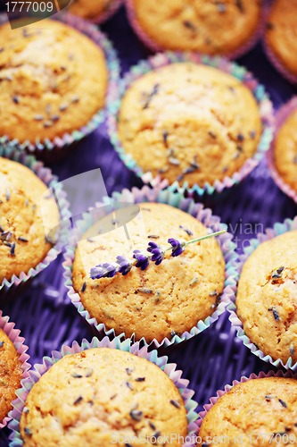 Image of lavender muffins