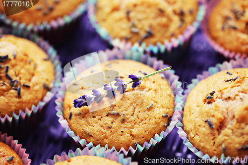 Image of lavender muffins