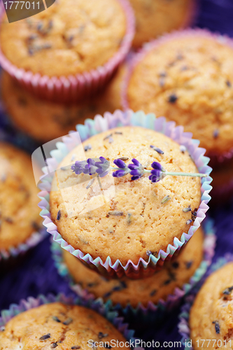 Image of lavender muffins