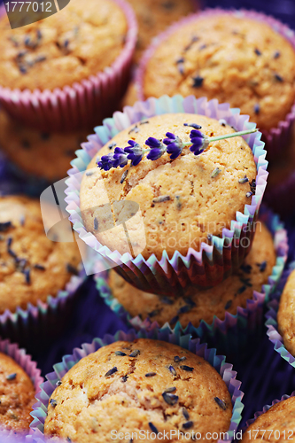 Image of lavender muffins