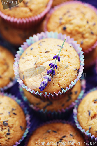 Image of lavender muffins