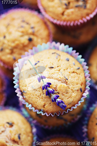 Image of lavender muffins