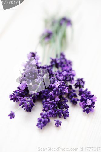 Image of lavender flowers