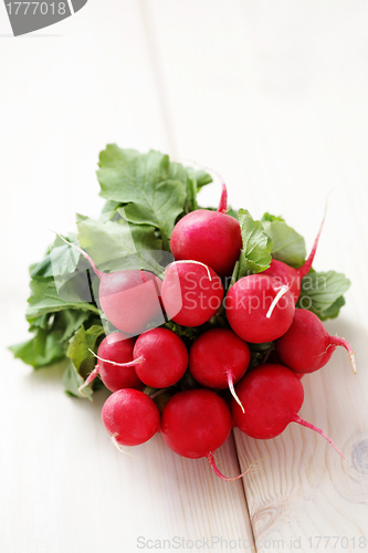 Image of fresh radish