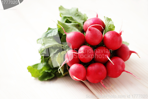 Image of fresh radish