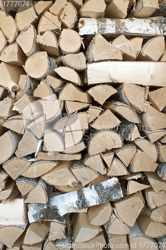 Image of Birch logs are stacked in woodpile