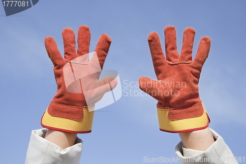 Image of Two working gloves against the blue sky