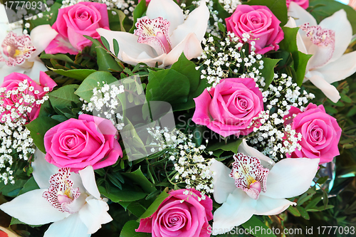 Image of Pink roses