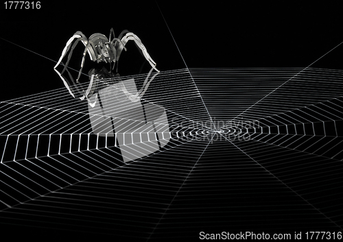 Image of lurking metallic spider and web