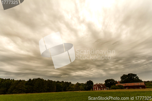 Image of Landscape