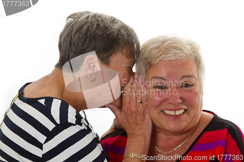 Image of Female senior woman have fun together