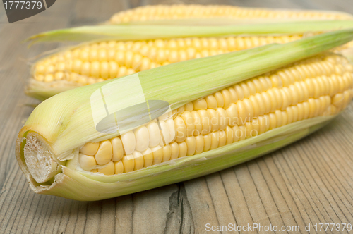 Image of Corn Cobs