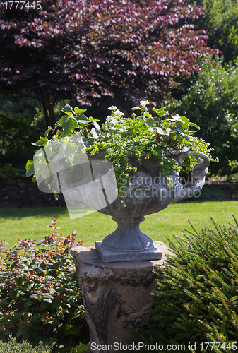 Image of Large stone urn with plants in english garden