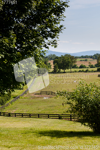 Image of Rolling meadows with wooden fences and hills