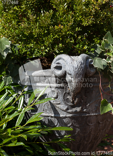 Image of Large stone urn with plants in english garden