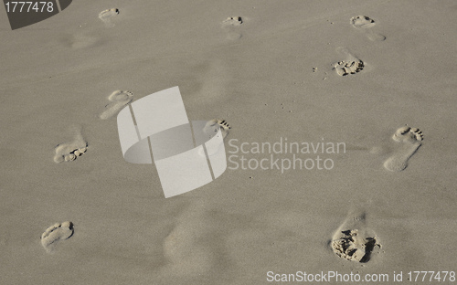 Image of footprints in the sand