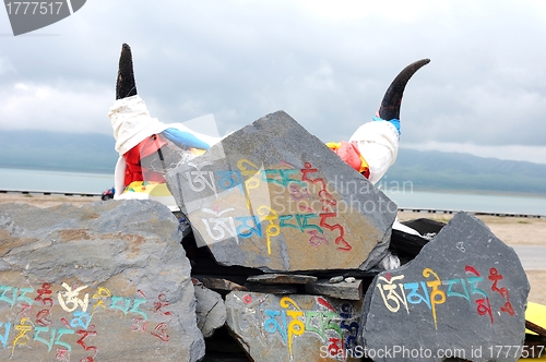 Image of Tibetan prayer mani rocks and yak horns