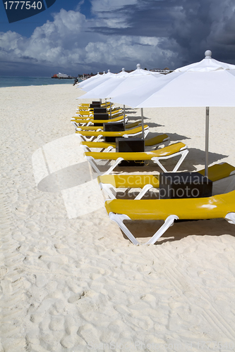 Image of Row of Lunge Chairs and Umbrellas