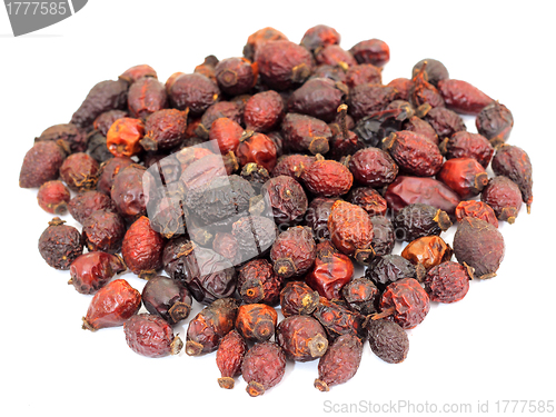 Image of Dry briar