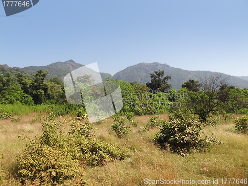 Image of Bhagwan Mahaveer Sanctuary and Mollem National Park