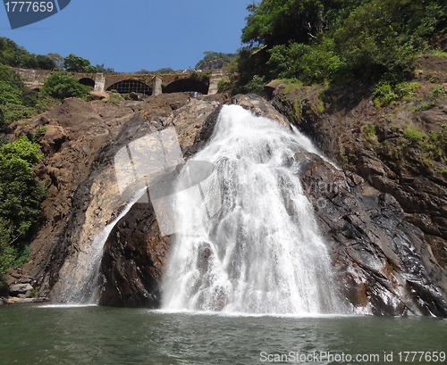 Image of Bhagwan Mahaveer Sanctuary and Mollem National Park