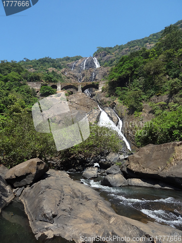 Image of Bhagwan Mahaveer Sanctuary and Mollem National Park