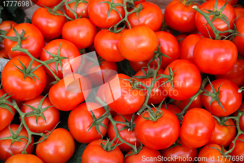 Image of Tomato