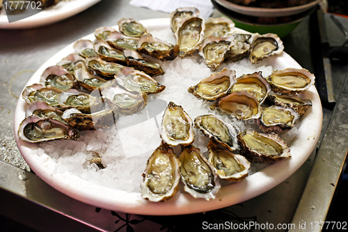 Image of Oysters