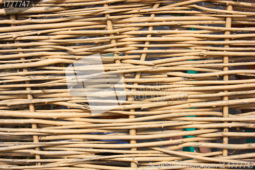 Image of Close up of the wattle-fence