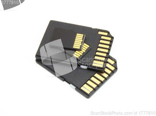 Image of Secure Digital memory cards 