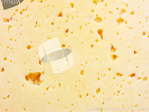 Image of Background of fresh yellow Swiss cheese with holes