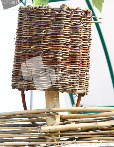 Image of The wattled basket