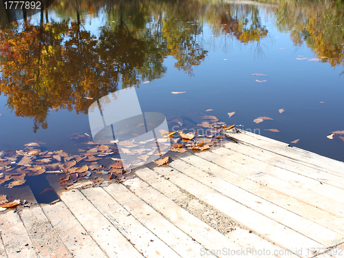 Image of Coast of lake in the mellow autumn 