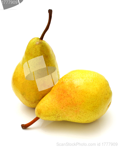 Image of Ripe pears